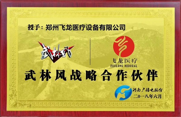 飛龍醫(yī)療外星艙走進武林風 飛龍醫(yī)療外星艙走進武林風