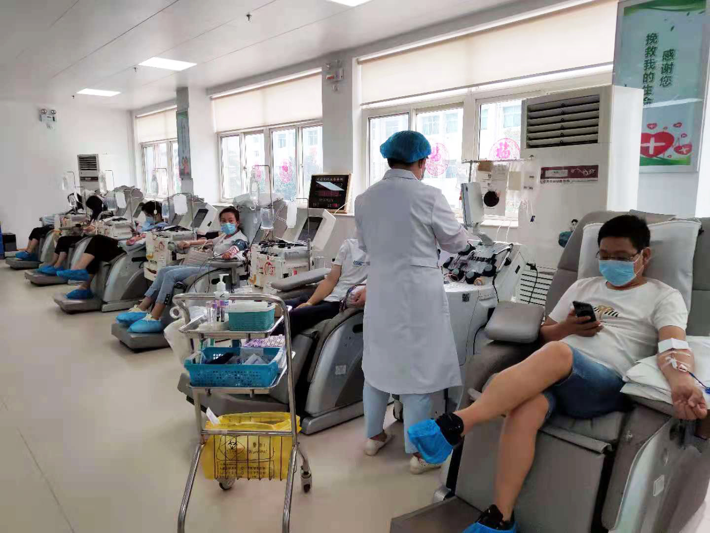 單采成分血、機(jī)采血小板獻(xiàn)血中